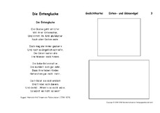 Die Entenglucke-Fallersleben.pdf